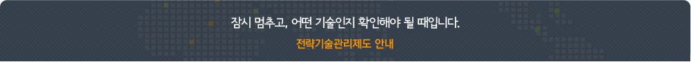 잠시 멈추고, 어떤 기술인지 확인해야 될 때입니다. 전략기술관리제도 안내